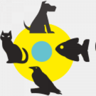 centroparalavista.com