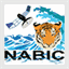 nabic-bd.org