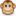 animalshirt.net