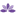 mirafloris.it