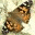 somesmiths.wordpress.com