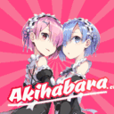 akihabara.cl