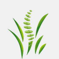 chiropracticnutritiondublin.com