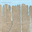 themaderastrand.bandcamp.com