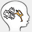 mindgymn.com