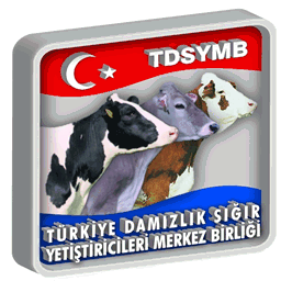 dsymb.org.tr
