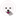 bichon-frise.pl