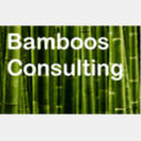 bamboos-consulting.com