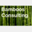 bamboos-consulting.com