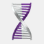 genetisys.net