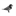 chatlinesnumbers.org