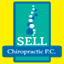 sellchiropractic.com