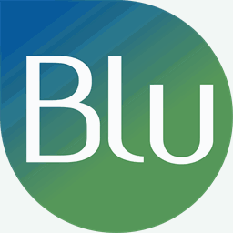 bluvalue.com