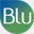 bluvalue.com