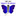 slsingersacademy.com