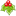 hortusapertus.lt