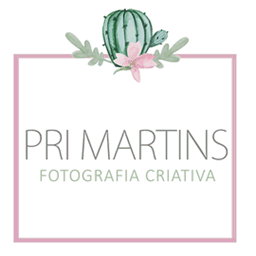 prismametais.com