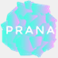 pranaestudio.com.ar