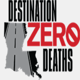 destinationzerodeaths.com