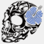 ginghamskull.com