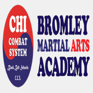 bromleymartialarts.com