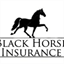 blackhorseinsurance.com