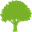 bigtreesonthemove.com