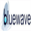 bluewavevet.com