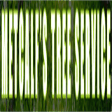 metcalftreeservice.net