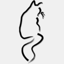 catclinicofiowacity.calls.net