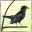 classicalblackbird.net