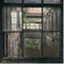 whatlightthroughyonderwindow.wordpress.com