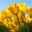 ecoresyrs.com