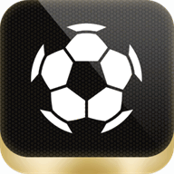 plconsulting.de