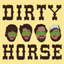 dirtyhorse4.bandcamp.com