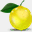 laurenlemons.com