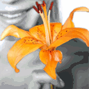 angela-shirahama.com