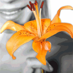 angela-shirahama.com