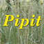 pipitsplace.com