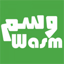 wasm1.com