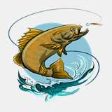 irishbassfestival.com