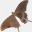 fpvflightclub.com