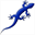 geckowebsites.info