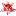 argusblog.com