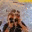 matteobertoncellobrotto.wordpress.com