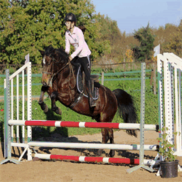 univers-equestre.over-blog.com