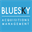 blueskyacquisitions.com
