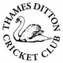 thamesdittoncricketclub.co.uk