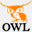 owl.ctss-ng.com
