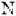 nettrapan.net
